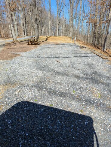 Site 25