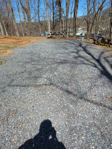 Site 31