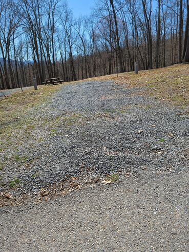 Site 44