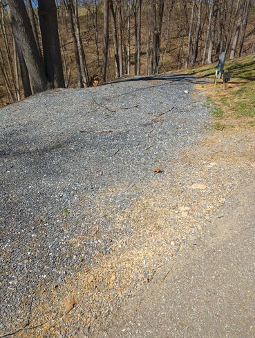 Site 5