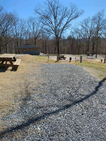 Site 7